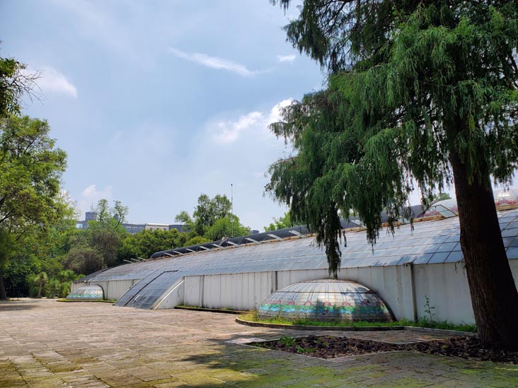 Jardín Botánico, Bosque de Chapultepec, Mexico City/Ciudad de México, Mexico, August 13, 2021