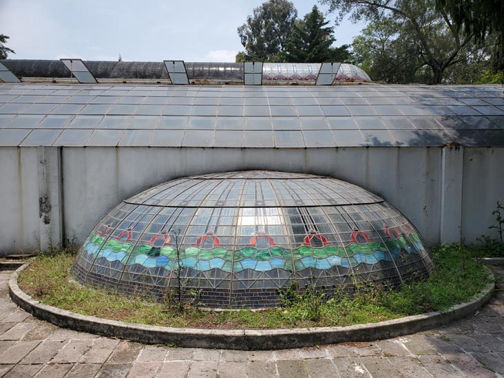 Jardín Botánico, Bosque de Chapultepec, Mexico City/Ciudad de México, Mexico, August 13, 2021