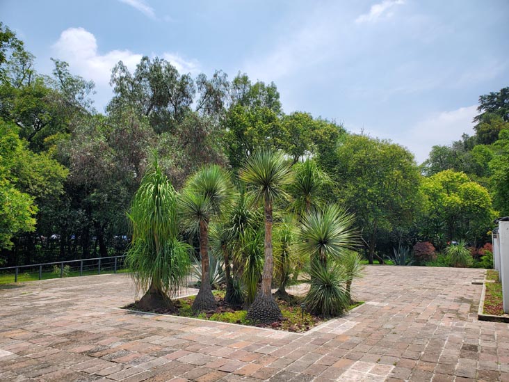 Jardín Botánico, Bosque de Chapultepec, Mexico City/Ciudad de México, Mexico, August 13, 2021