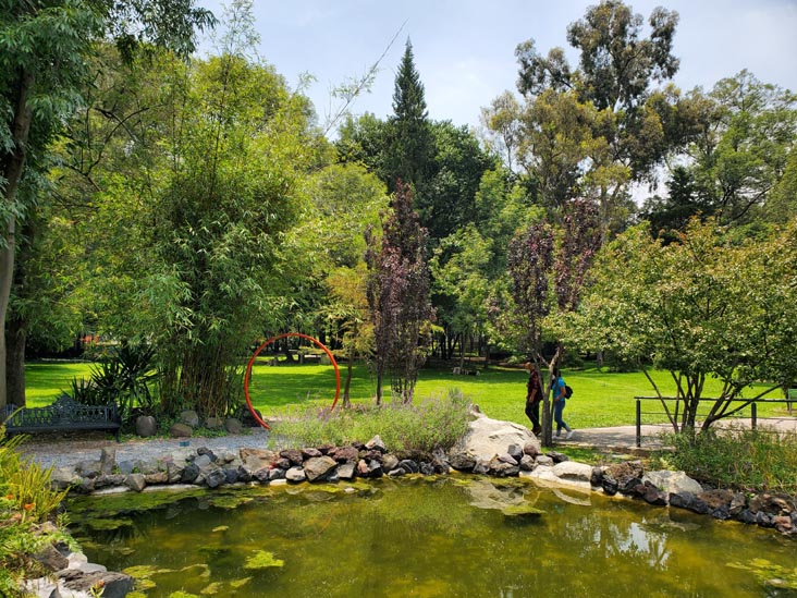 Jardín Botánico, Bosque de Chapultepec, Mexico City/Ciudad de México, Mexico, August 13, 2021