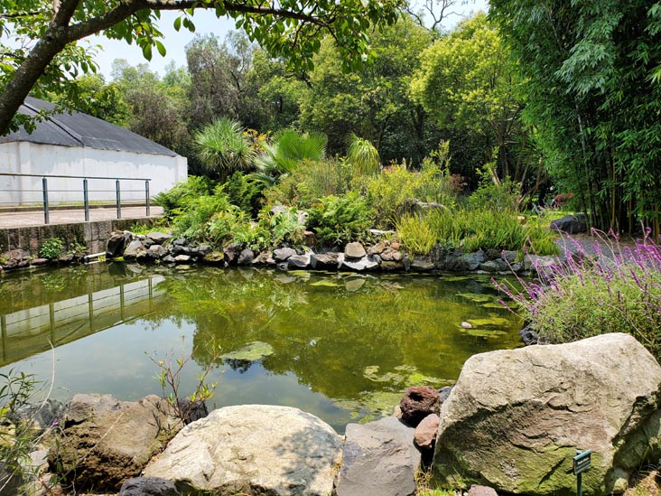 Jardín Botánico, Bosque de Chapultepec, Mexico City/Ciudad de México, Mexico, August 13, 2021