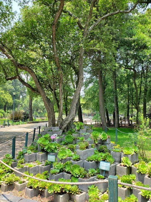 Jardín Botánico, Bosque de Chapultepec, Mexico City/Ciudad de México, Mexico, August 13, 2021