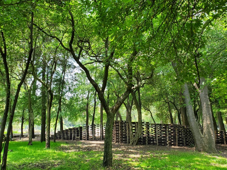 Jardín Botánico, Bosque de Chapultepec, Mexico City/Ciudad de México, Mexico, August 13, 2021