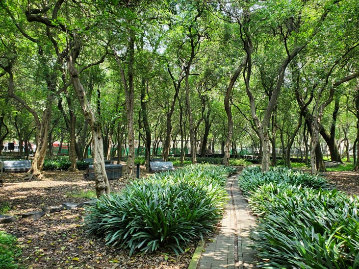 Jardín Botánico, Bosque de Chapultepec, Mexico City/Ciudad de México, Mexico, August 13, 2021