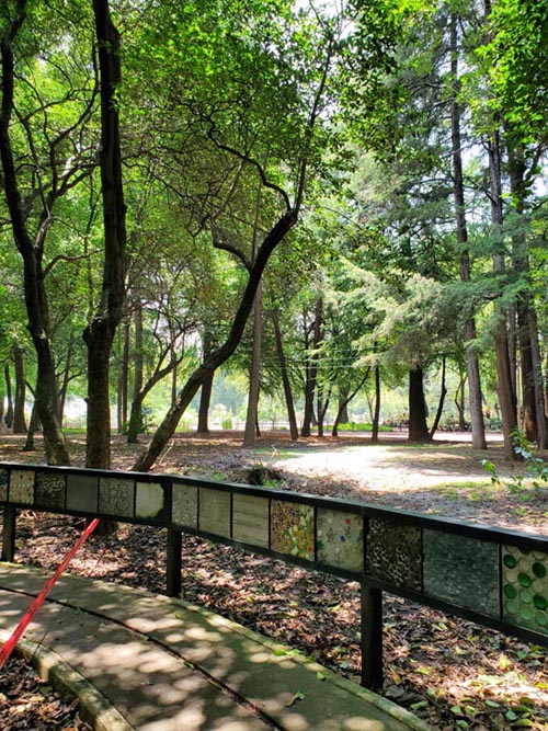 Jardín Botánico, Bosque de Chapultepec, Mexico City/Ciudad de México, Mexico, August 13, 2021