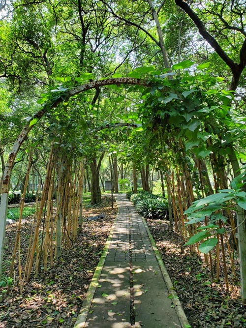 Jardín Botánico, Bosque de Chapultepec, Mexico City/Ciudad de México, Mexico, August 13, 2021