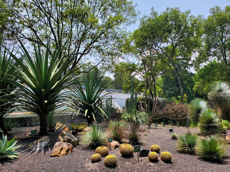 Jardín Botánico, Bosque de Chapultepec, Mexico City/Ciudad de México, Mexico, August 13, 2021