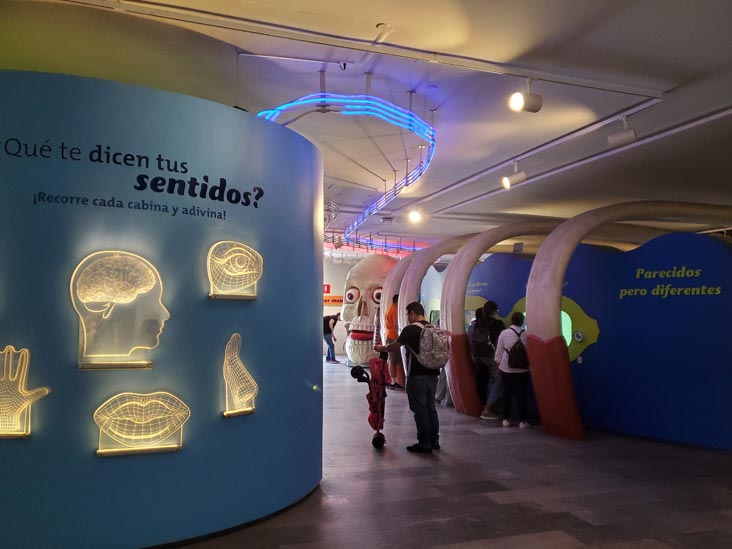 Mi Cuerpo, Papalote Museo del Niño, Mexico City/Ciudad de México, Mexico, August 29, 2023