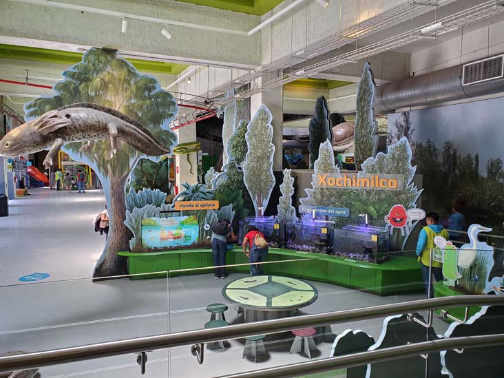 México Vivo, Papalote Museo del Niño, Mexico City/Ciudad de México, Mexico, August 29, 2023