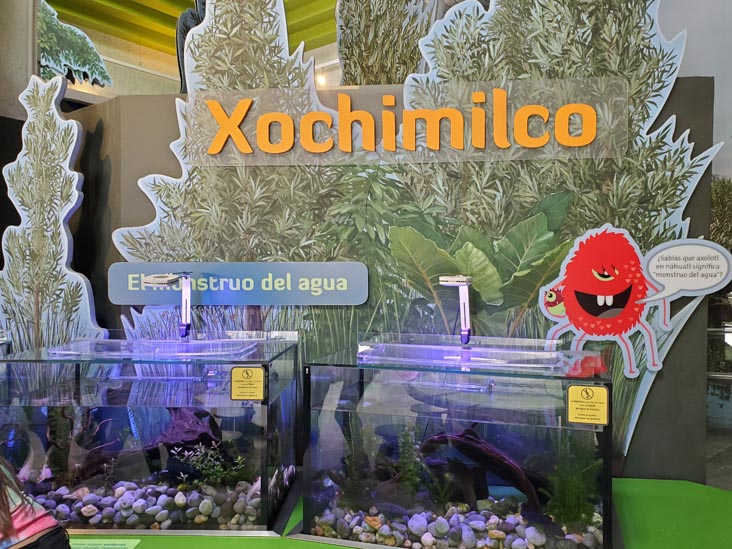 México Vivo, Papalote Museo del Niño, Mexico City/Ciudad de México, Mexico, August 29, 2023