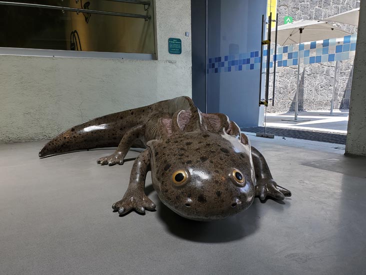 México Vivo, Papalote Museo del Niño, Mexico City/Ciudad de México, Mexico, August 29, 2023