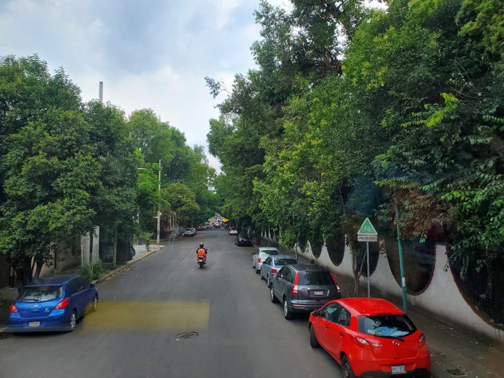 Viveros de Coyoacán, Capital Bus Circuito Centro-Sur Tour, Mexico City/Ciudad de México, Mexico, August 6, 2021