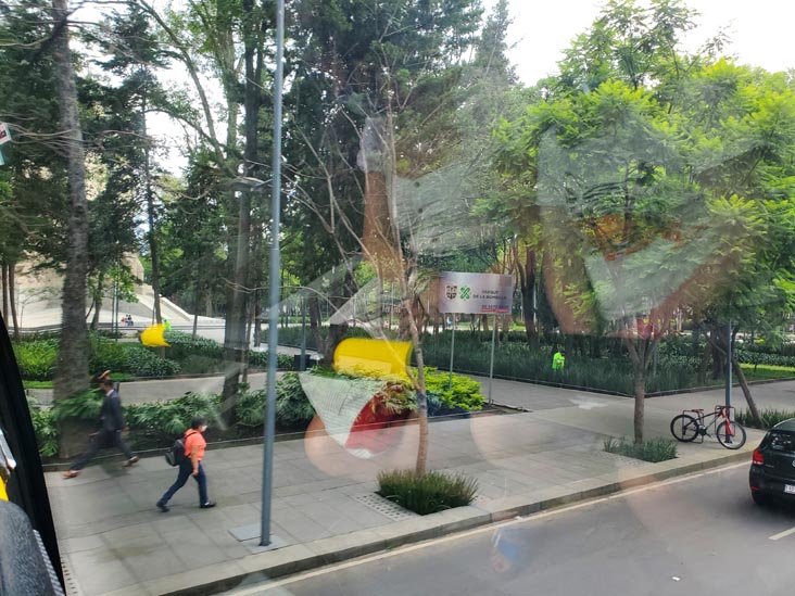 Parque de la Bombilla, San Angel, Capital Bus Circuito Centro-Sur Tour, Mexico City/Ciudad de México, Mexico, August 6, 2021