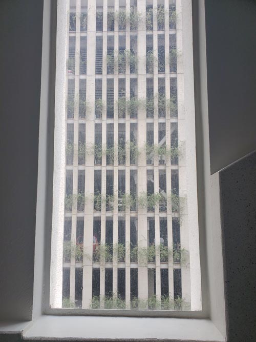 Museo de Arte Popular, Mexico City/Ciudad de México, Mexico, August 31, 2023