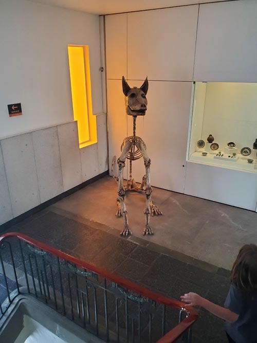 Museo de Arte Popular, Mexico City/Ciudad de México, Mexico, August 31, 2023