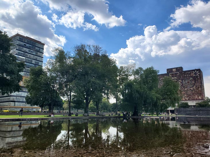 Ciudad Universitaria, Mexico City/Ciudad de M&eacute;xico, Mexico, September 4, 2023