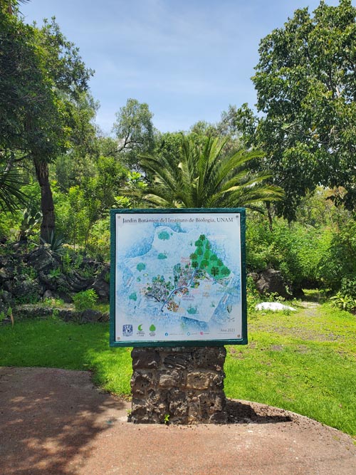 Jardín Botánico del IB-UNAM, Ciudad Universitaria, Mexico City/Ciudad de México, Mexico, September 4, 2023