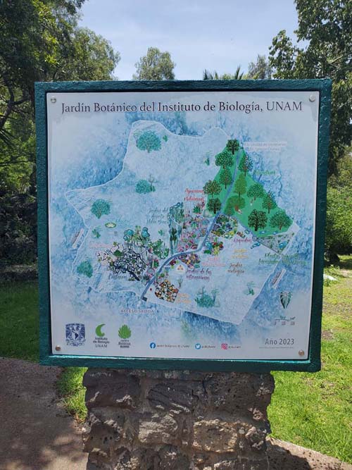 Jardín Botánico del IB-UNAM, Ciudad Universitaria, Mexico City/Ciudad de México, Mexico, September 4, 2023