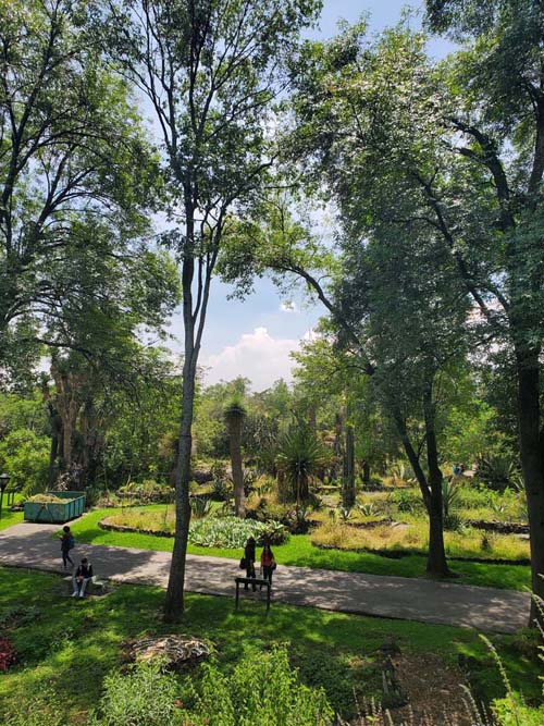 Jardín Botánico del IB-UNAM, Ciudad Universitaria, Mexico City/Ciudad de México, Mexico, September 4, 2023