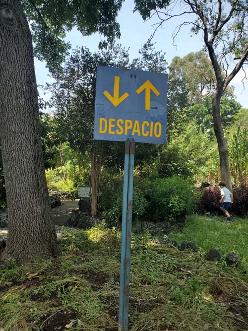 Jardín Botánico del IB-UNAM, Ciudad Universitaria, Mexico City/Ciudad de México, Mexico, September 4, 2023