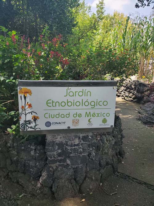 Jardín Botánico del IB-UNAM, Ciudad Universitaria, Mexico City/Ciudad de México, Mexico, September 4, 2023