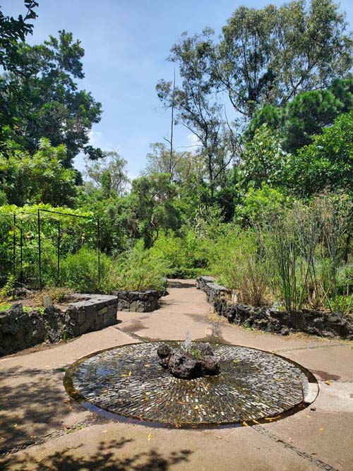 Jardín Botánico del IB-UNAM, Ciudad Universitaria, Mexico City/Ciudad de México, Mexico, September 4, 2023