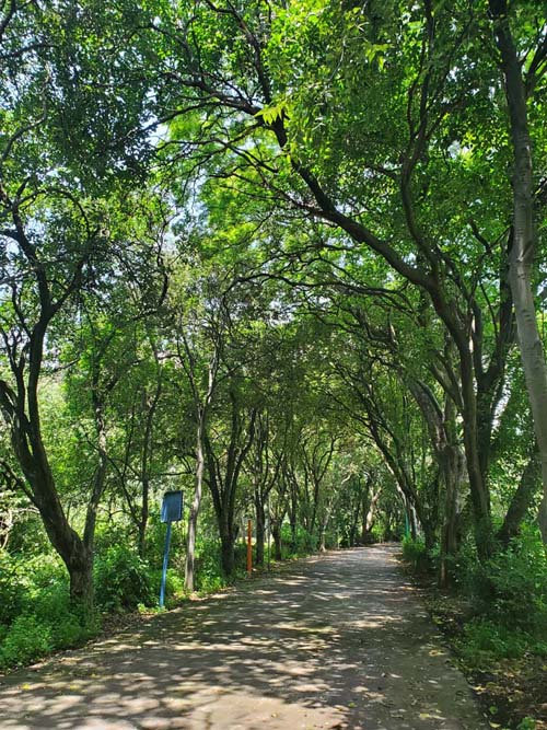 Jardín Botánico del IB-UNAM, Ciudad Universitaria, Mexico City/Ciudad de México, Mexico, September 4, 2023