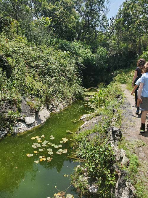 Jardín Botánico del IB-UNAM, Ciudad Universitaria, Mexico City/Ciudad de México, Mexico, September 4, 2023