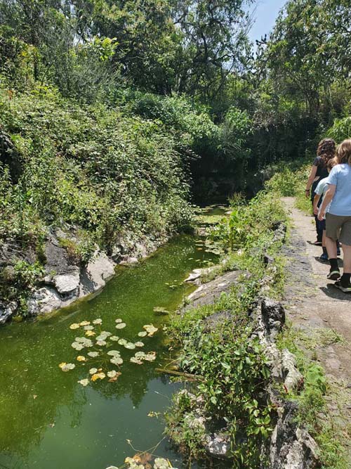 Jardín Botánico del IB-UNAM, Ciudad Universitaria, Mexico City/Ciudad de México, Mexico, September 4, 2023