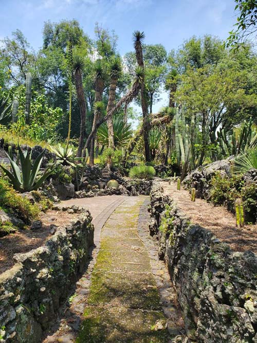 Jardín Botánico del IB-UNAM, Ciudad Universitaria, Mexico City/Ciudad de México, Mexico, September 4, 2023
