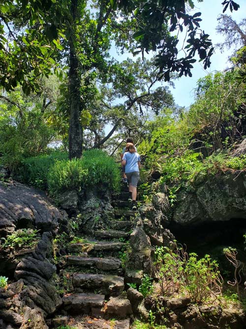 Jardín Botánico del IB-UNAM, Ciudad Universitaria, Mexico City/Ciudad de México, Mexico, September 4, 2023
