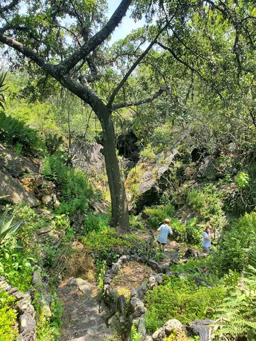 Jardín Botánico del IB-UNAM, Ciudad Universitaria, Mexico City/Ciudad de México, Mexico, September 4, 2023