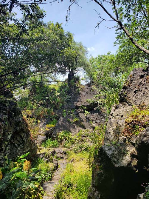 Jardín Botánico del IB-UNAM, Ciudad Universitaria, Mexico City/Ciudad de México, Mexico, September 4, 2023