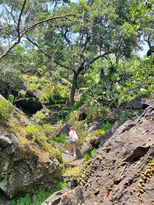 Jardín Botánico del IB-UNAM, Ciudad Universitaria, Mexico City/Ciudad de México, Mexico, September 4, 2023