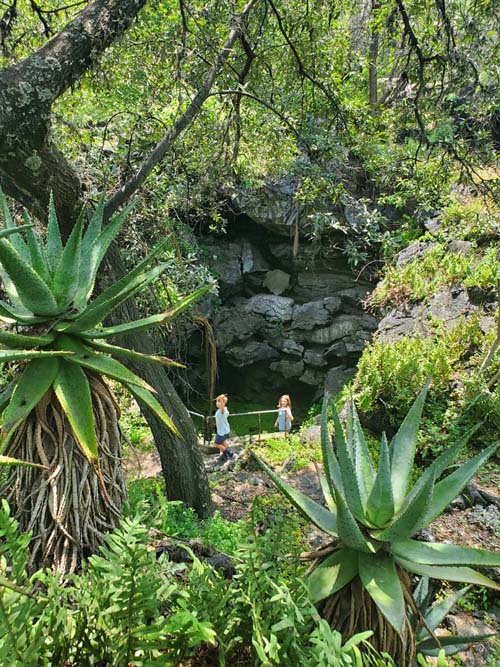 Jardín Botánico del IB-UNAM, Ciudad Universitaria, Mexico City/Ciudad de México, Mexico, September 4, 2023
