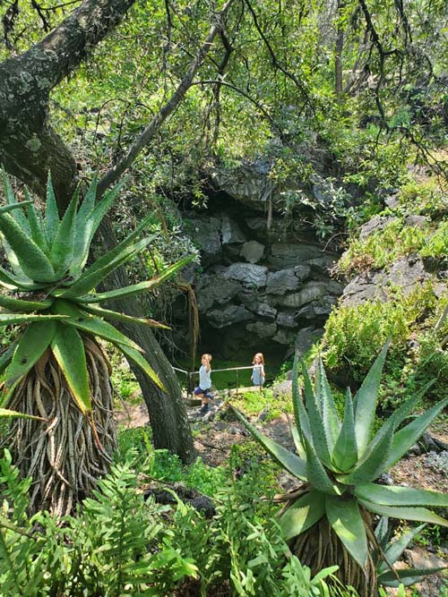 Jardín Botánico del IB-UNAM, Ciudad Universitaria, Mexico City/Ciudad de México, Mexico, September 4, 2023