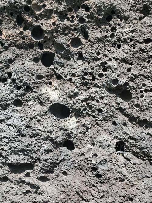 Jardín Botánico del IB-UNAM, Ciudad Universitaria, Mexico City/Ciudad de México, Mexico, September 4, 2023