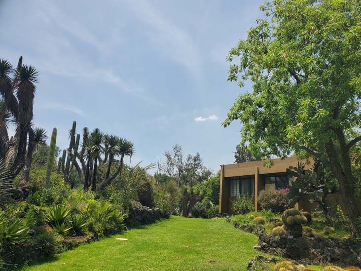 Jardín Botánico del IB-UNAM, Ciudad Universitaria, Mexico City/Ciudad de México, Mexico, September 4, 2023