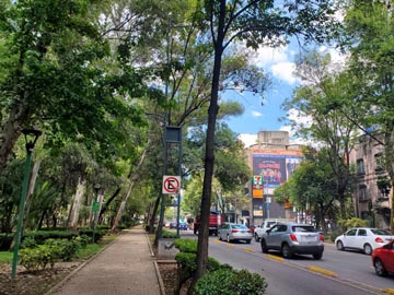 Avenida Nuevo Leon Outside Parque España, Condesa, Mexico City/Ciudad de México, Mexico, August 10, 2021