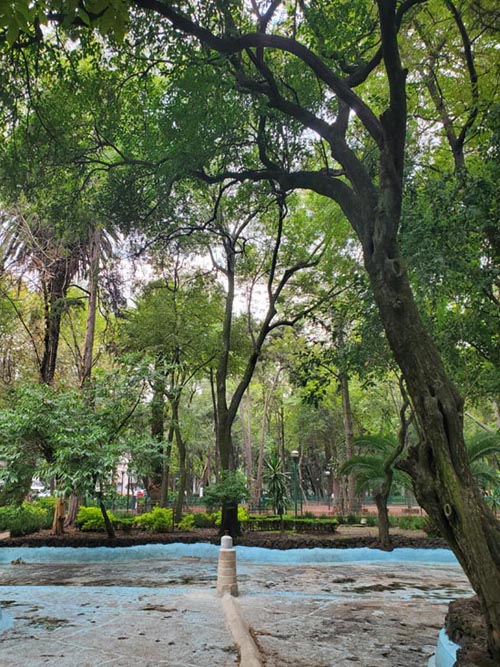 Parque España, Condesa, Mexico City/Ciudad de México, Mexico, August 10, 2021