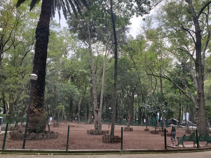 Parque España, Condesa, Mexico City/Ciudad de México, Mexico, August 10, 2021