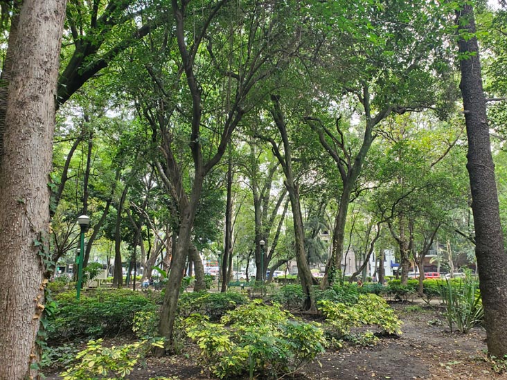 Parque España, Condesa, Mexico City/Ciudad de México, Mexico, August 10, 2021