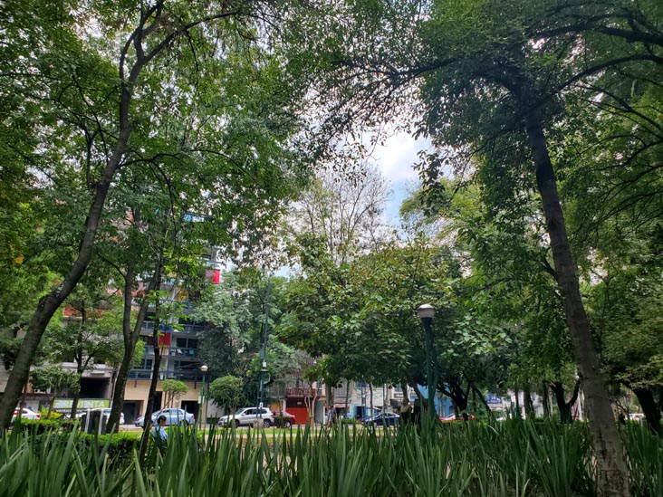 Parque España, Condesa, Mexico City/Ciudad de México, Mexico, August 10, 2021