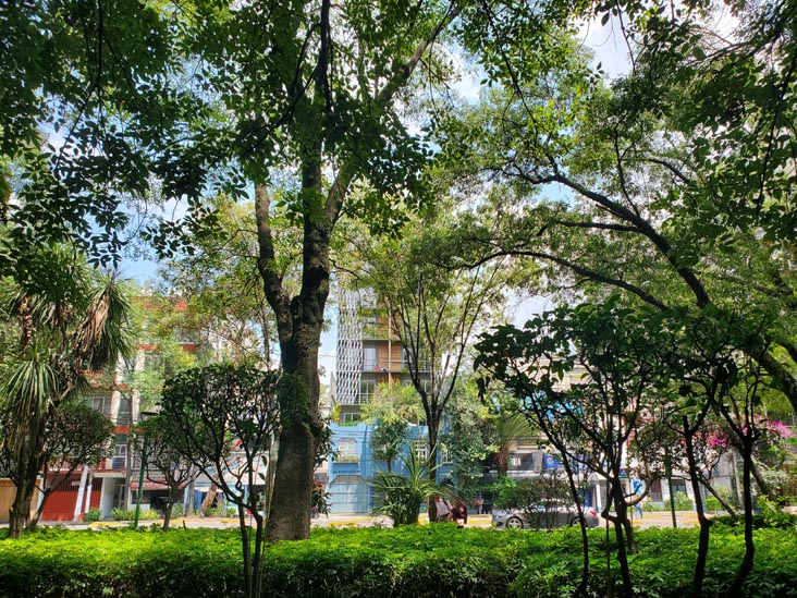 Parque España, Condesa, Mexico City/Ciudad de México, Mexico, August 10, 2021