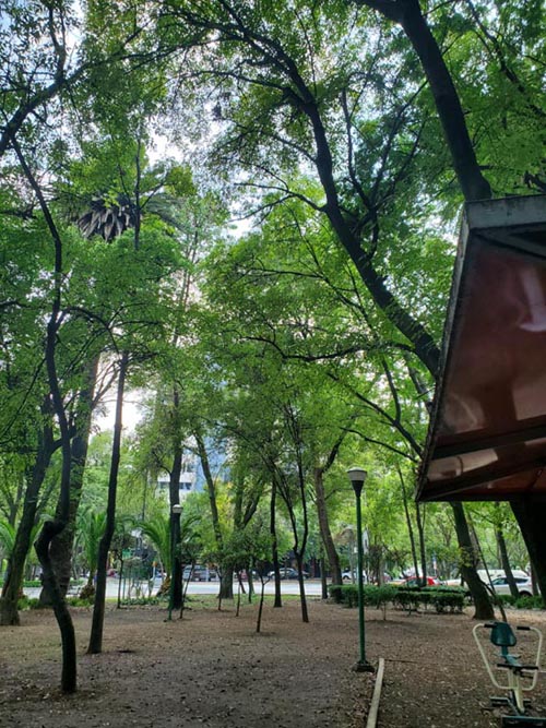 Parque España, Condesa, Mexico City/Ciudad de México, Mexico, August 10, 2021