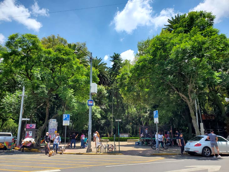 Parque México, Condesa, Mexico City/Ciudad de México, Mexico, August 15, 2021