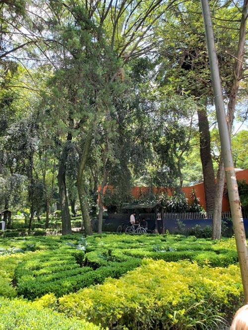 Parque México, Condesa, Mexico City/Ciudad de México, Mexico, August 15, 2021