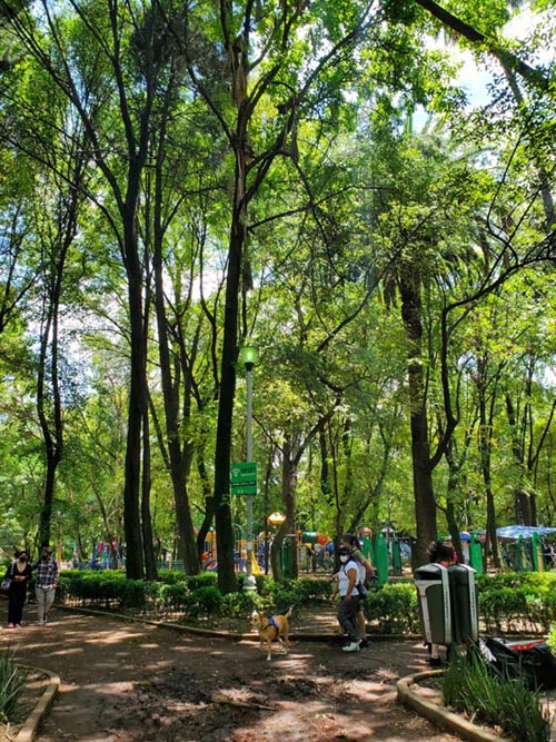 Parque México, Condesa, Mexico City/Ciudad de México, Mexico, August 15, 2021