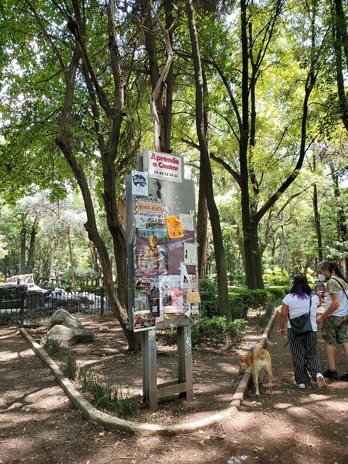 Parque México, Condesa, Mexico City/Ciudad de México, Mexico, August 15, 2021