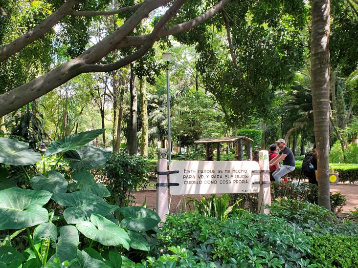 Parque México, Condesa, Mexico City/Ciudad de México, Mexico, August 15, 2021